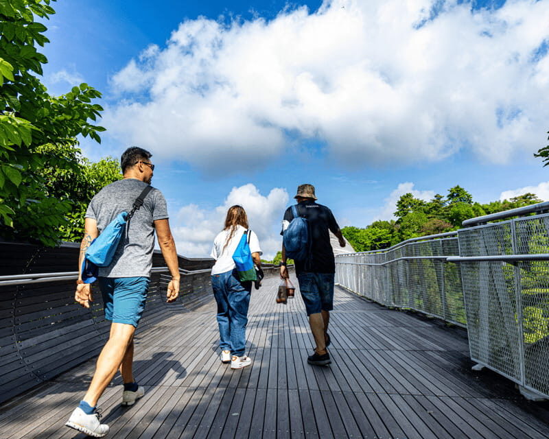 Singapore: Faber Peak Guided Walking Tour with Breakfast - Challenges and Considerations