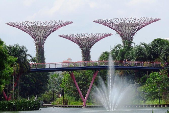 Singapore: Gardens by the Bay Admission E-Ticket - The Experience Deep Dive