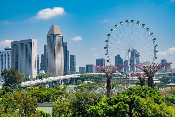 Singapore Gardens by the Bay Admission Skip-The-Line E-Ticket - What to Expect from the Singapore Gardens by the Bay Experience