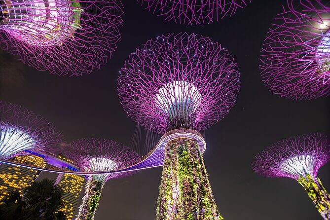 Singapore Gardens by the Bay Admission Skip-The-Line E-Ticket - Who Should Consider This Tour?