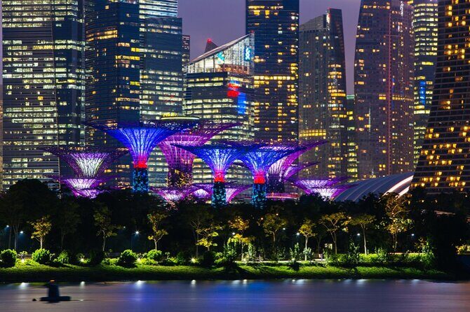 Singapore Gardens by the Bay Admission Skip-The-Line E-Ticket - Final Thoughts: Is It Worth It?