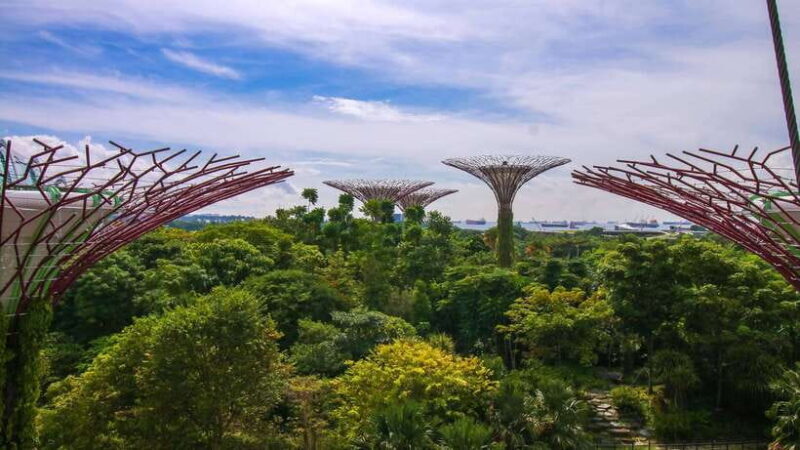 Singapore: Gardens by the Bay Bundle Entry Ticket - The Itinerary and What Youll Experience