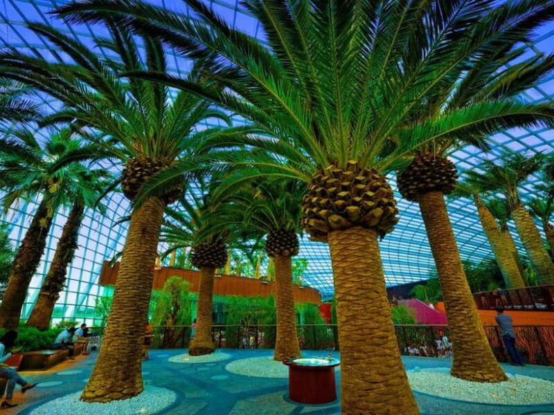 Singapore: Gardens by the Bay & Jurassic World with Pickup - Key Points