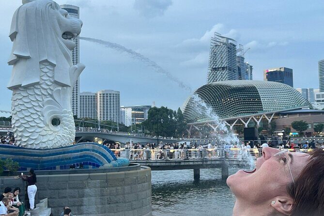 Singapore Guided Night Tour with 2 Light Shows & River Cruise - Final Word