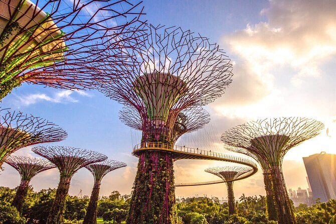 Singapore Half Day City Tour w Skypark and Gardens By The Bay - An In-Depth Look at the Tour Itinerary