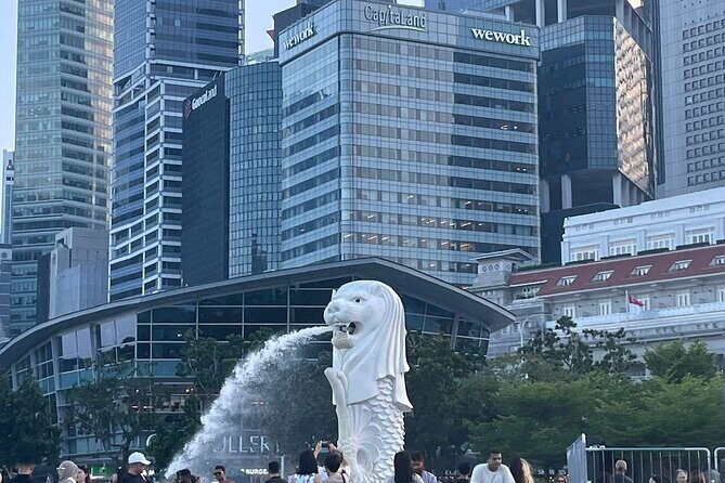 Singapore Half Day City Tour w Skypark and Gardens By The Bay - Transportation and Group Dynamics