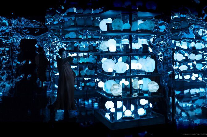 Singapore Harry Potter: Visions of Magic Tickets - Who Should Consider This Tour?