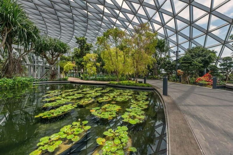 Singapore: Jewel Changi Airport Attraction Ticket - The Sum Up