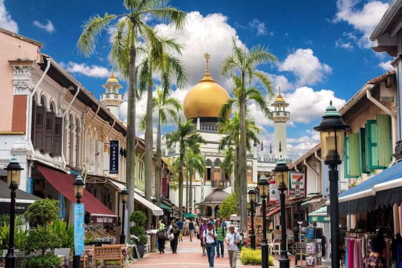 Singapore: Local Street Food Tasting Tour - Introduction