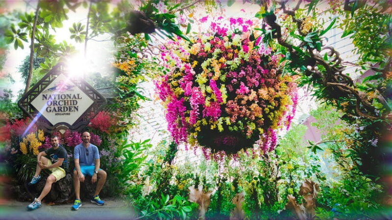 Singapore: National Orchid Garden Admission - FAQ About Singapores National Orchid Garden