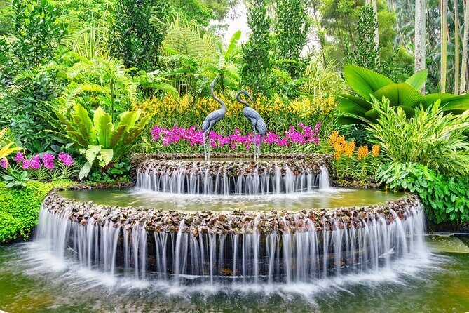 Singapore: National Orchid Garden Admission Ticket - Detailed Breakdown of the Itinerary