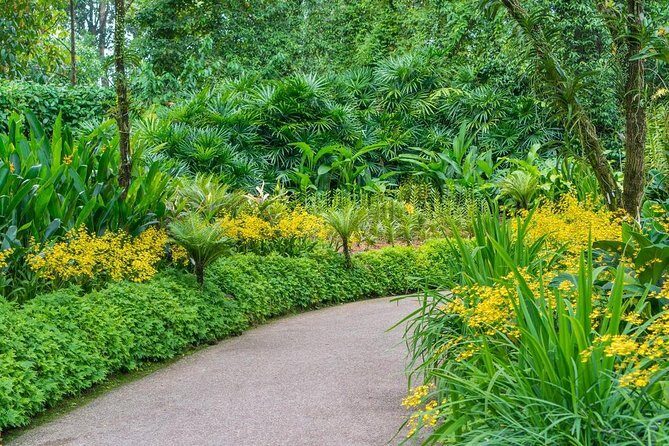 Singapore: National Orchid Garden Admission Ticket - The Value and Cost