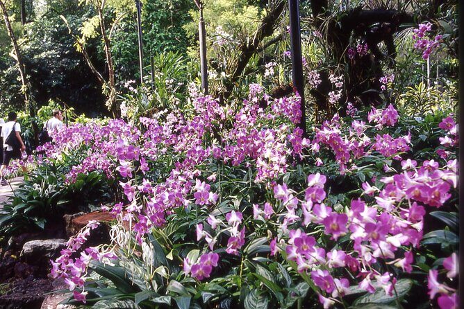 Singapore: National Orchid Garden Admission Ticket - FAQ