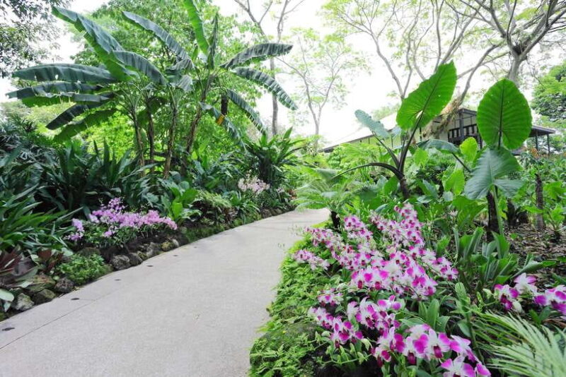 Singapore: National Orchid Garden Entry Tickets - Key Points