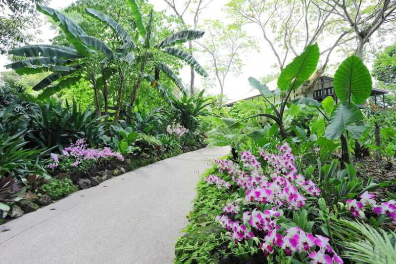 Singapore: National Orchid Garden Entry Tickets - What Makes the Orchid Garden Special
