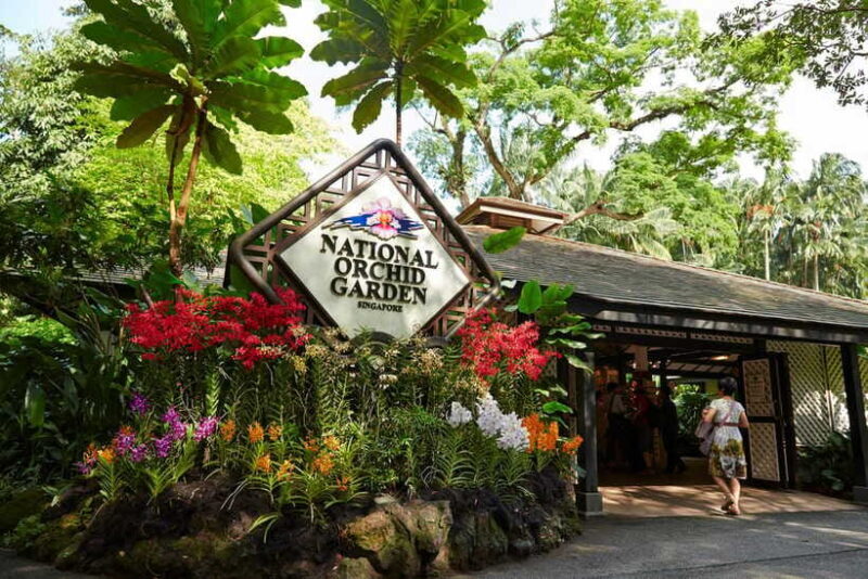 Singapore: National Orchid Garden Entry Tickets - The Experience and Visitor Tips