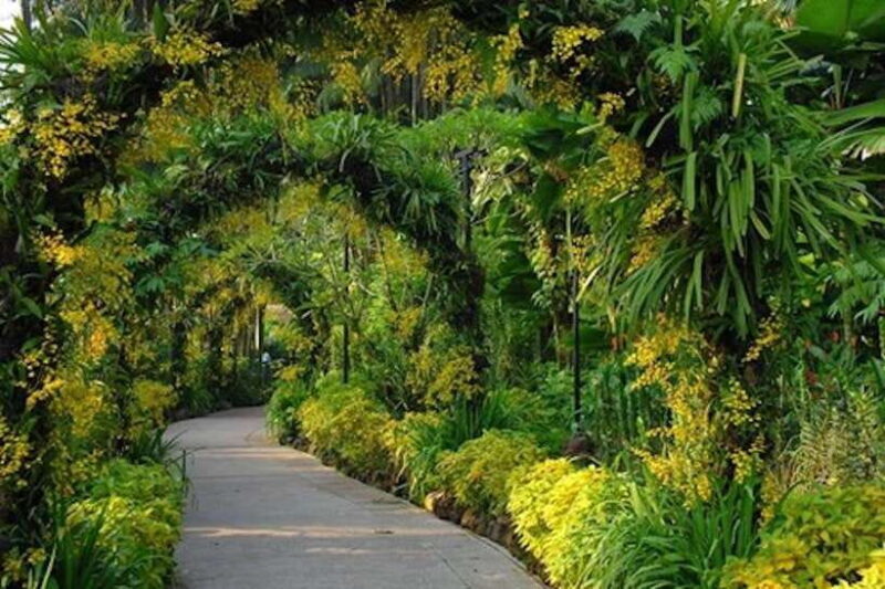Singapore: National Orchid Garden Entry Tickets - The Sum Up: Is the National Orchid Garden Worth It?