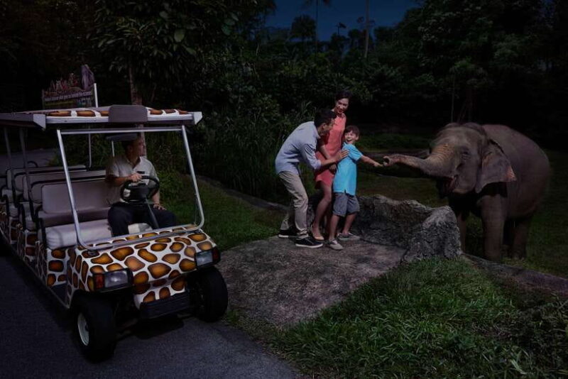 Singapore: Night Safari and Tram Ride Ticket - Practical Tips for Visiting