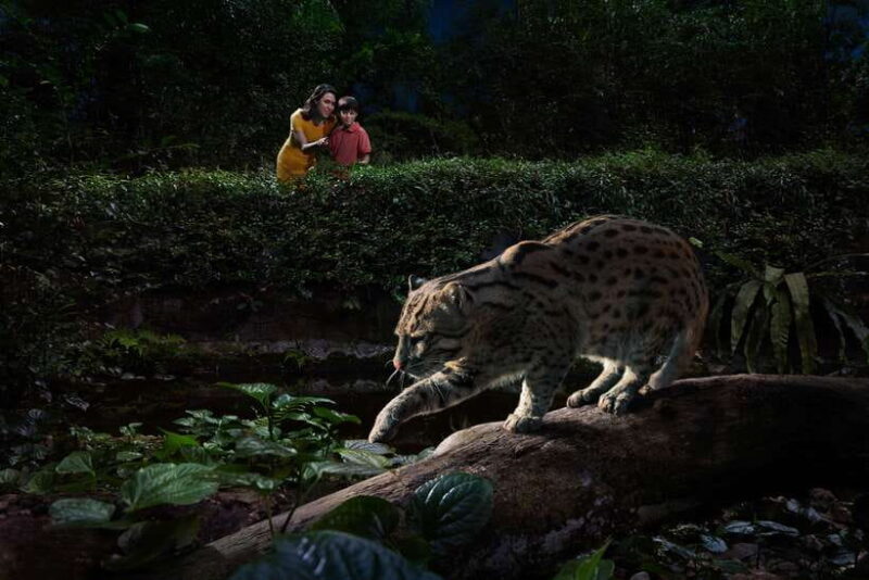 Singapore: Night Safari and Tram Ride Ticket - The Sum Up