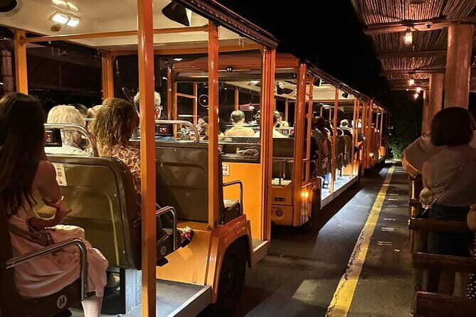 Singapore Night Safari - What to Expect: A Detailed Look at the Tour
