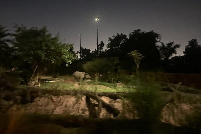 Singapore Night Safari - The Sum Up