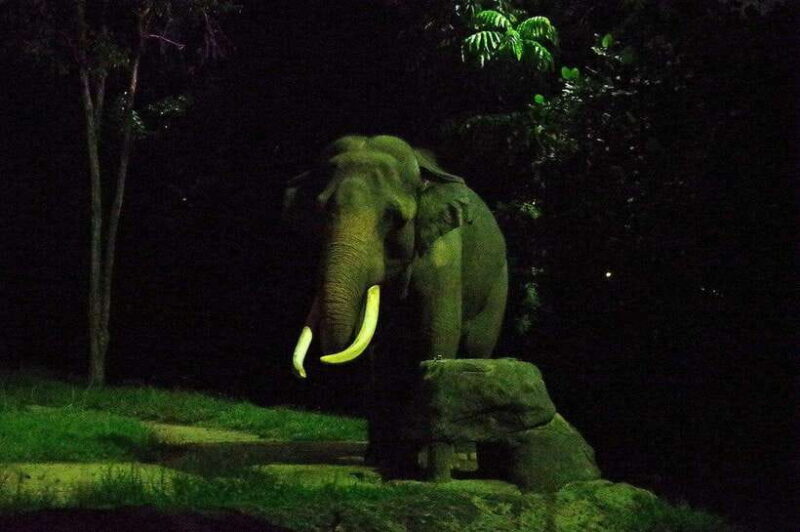 Singapore: Night Safari Singapore w/ Tram - What the Night Safari Offers: An Authentic Wildlife Adventure
