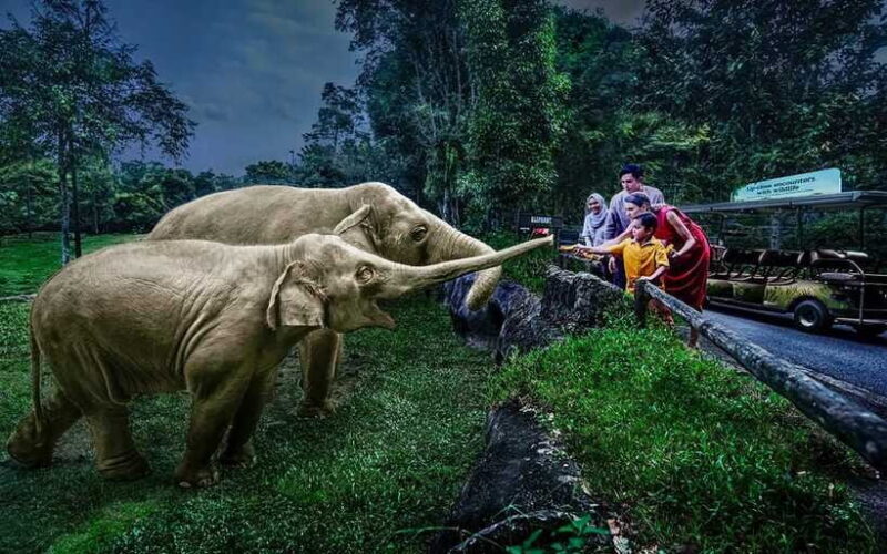 Singapore: Night Safari Singapore w/ Tram - The Sum Up