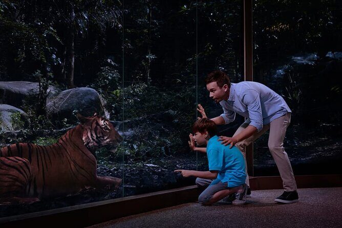 Singapore Night Safari Ticket Experience - Who Is This Tour Best Suited For?