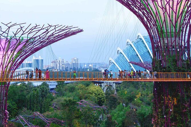 Singapore OCBC Skyway Flower dome Cloud Forest Garden by the Bay - Breakdown of the Itinerary