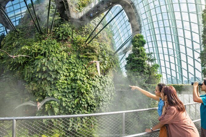 Singapore OCBC Skyway Flower dome Cloud Forest Garden by the Bay - Final Thoughts: Who Is This Tour Best For?