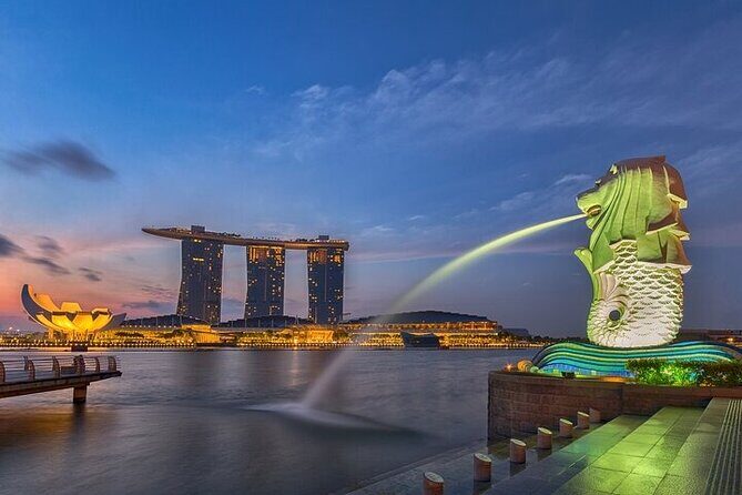 Singapore Private Customized City Tour with Driver - Why Choose This Tour?