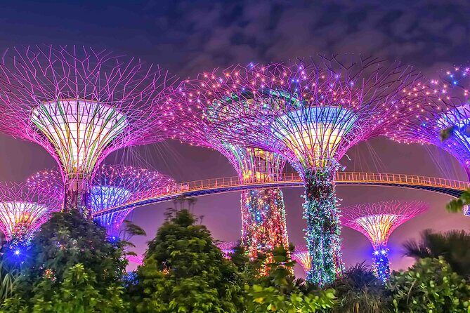 Singapore Private Customized City Tour with Driver - Final Thoughts