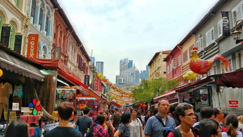 Singapore: Private Flexible Tour with a Licensed Local Guide - Who Would Love This Tour?