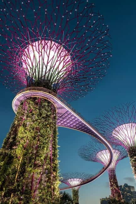 Singapore River Cruise, Night Garden Rhapsody & Spectra Show - What Could Be Better