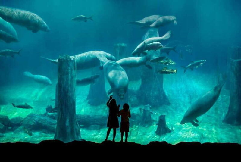 Singapore: River Wonders Entry Ticket - An In-Depth Look at River Wonders