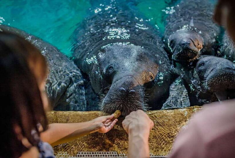 Singapore: River Wonders Entry Ticket - FAQ — Practical Questions Answered