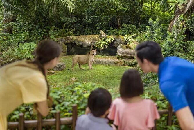 Singapore River Wonders Entry Ticket - Practical Tips for Visiting River Wonders