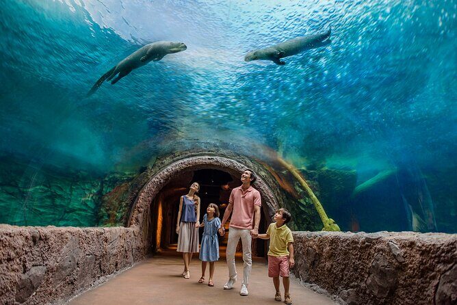 Singapore: River Wonders Entry Ticket - The Itinerary in Detail