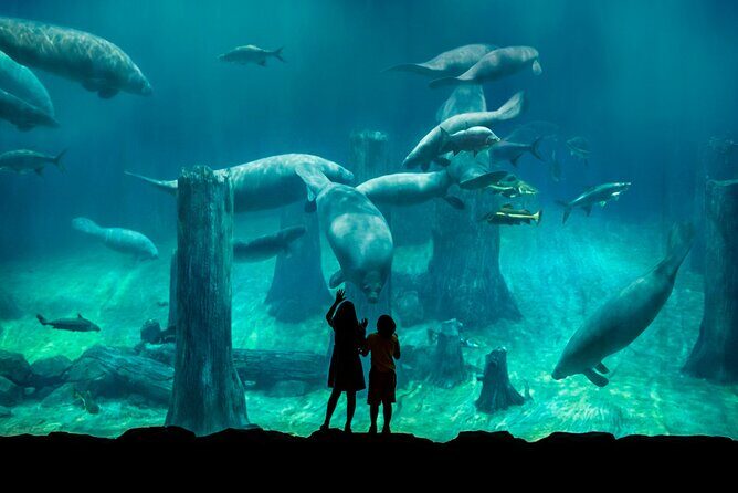 Singapore: River Wonders Entry Ticket - FAQs