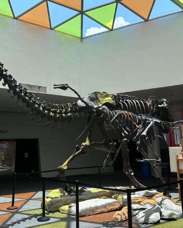 Singapore: Science Center E-Ticket - Visiting Hours and Practicalities