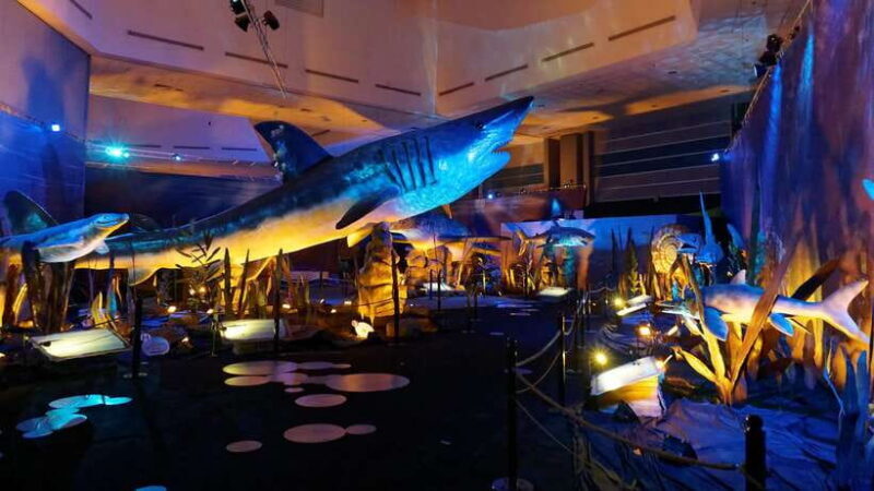 Singapore: Science Center E-Ticket - What to Expect During Your Visit
