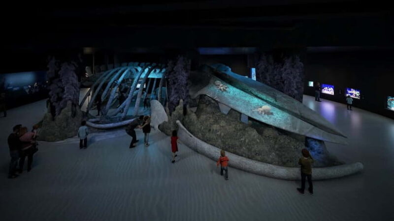 Singapore: Singapore Oceanarium Entrance E-Ticket - What to Expect from Your Visit