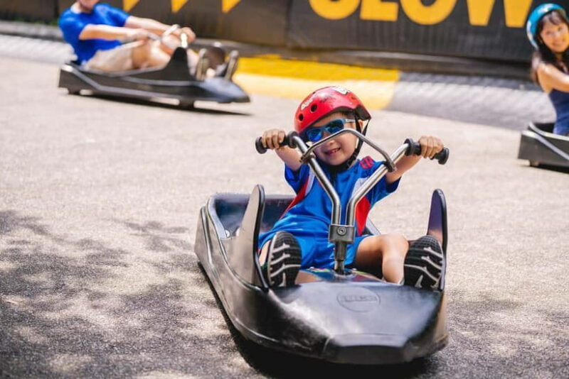 Singapore: Skyline Luge Sentosa Entry Ticket - Who Should Consider This Experience?