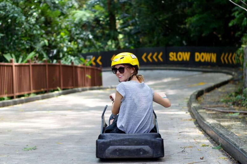 Singapore: Skyline Luge Sentosa Tickets - Who Should Consider This Tour?