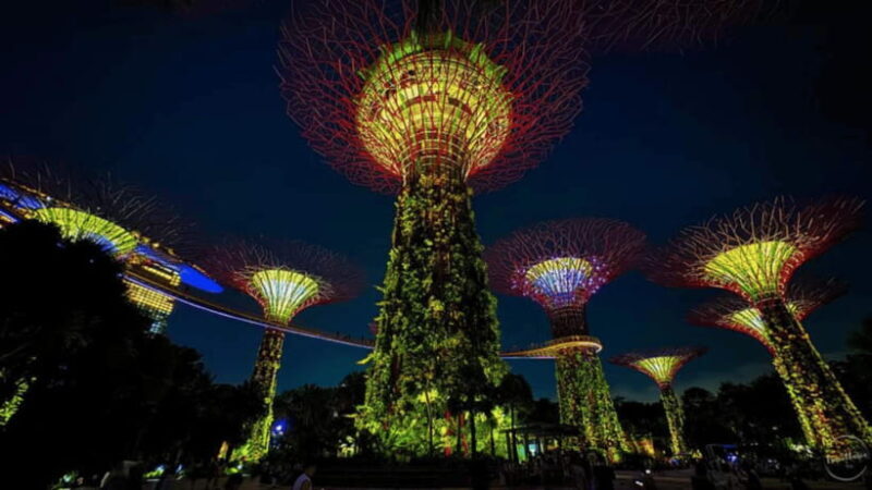 Singapore: Sunset River Cruise and Glittering Light Shows - An In-Depth Look at the Tour