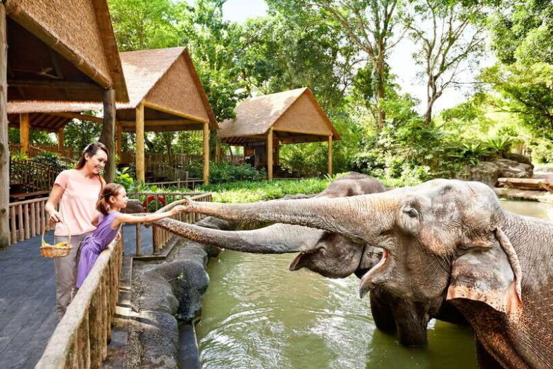 Singapore Zoo: 1-Day Entrance E-Ticket - An Immersive Animal Encounter in a World-Class Setting