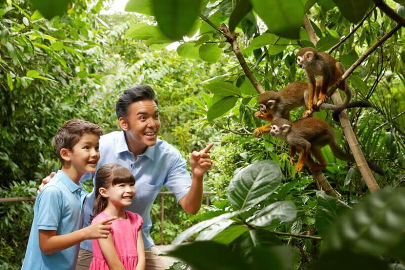 Singapore Zoo: 1-Day Entrance E-Ticket - Practical Tips for Your Visit