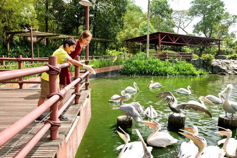 Singapore Zoo: 1-Day Entrance E-Ticket - Who Will Love This Experience?