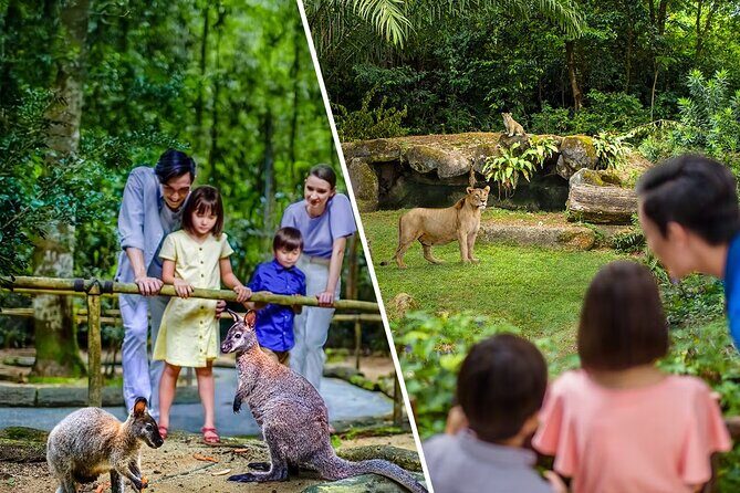 Singapore Zoo and Night Safari Tickets - The Experience: What to Expect and How to Make the Most of It