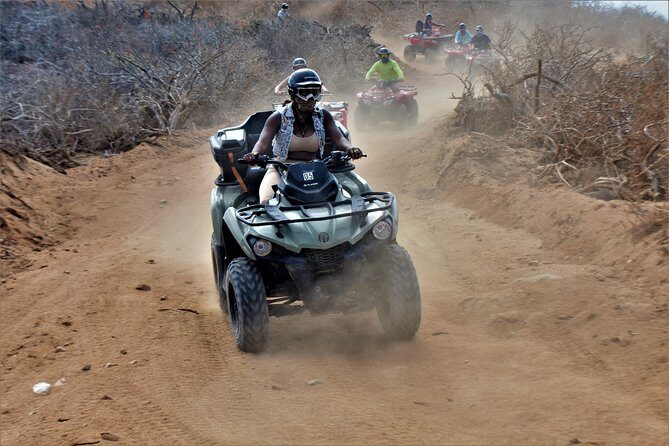 Single ATV Tour from Migriño Beach & Desert - The Sum Up